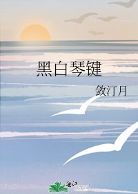 黑白琴键