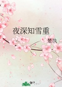 夜深知雪重