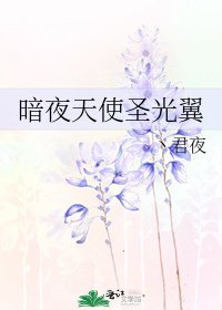暗夜天使聖光翼