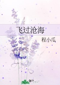 《飞过沧海》