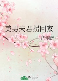 美男夫君拐回家