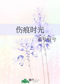 傷痕時光