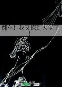 翻車!我又撩到大佬了!