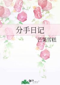 分手日記
