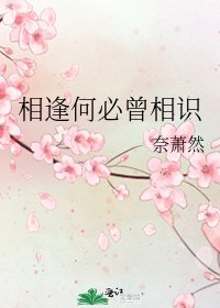 相逢何必曾相識