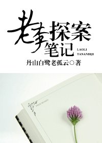 老李探案筆記
