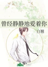 曾经静静地爱着你