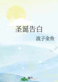 《圣诞告白》