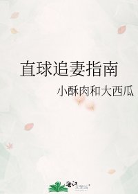 直球追妻指南