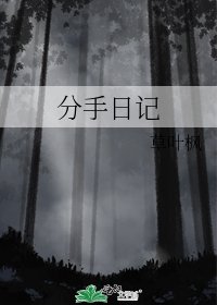 分手日記
