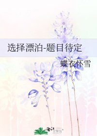 选择漂泊-题目待定