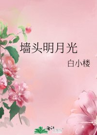 牆頭明月光