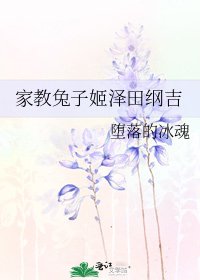 家用兔子姬澤田綱吉