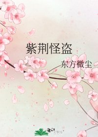 紫荊怪盜