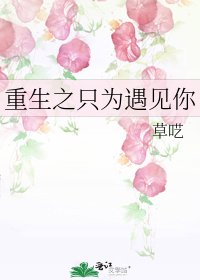 重生之只為遇見你