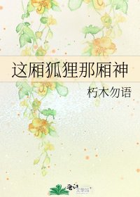 这厢狐狸那厢神