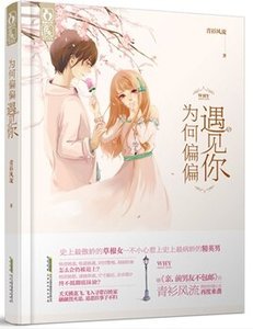 為何偏偏遇見你