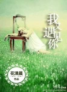 一見傾心,一生不離/我又遇見你