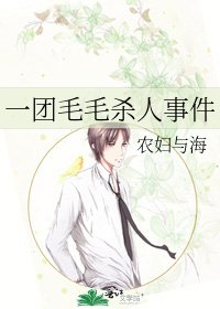 一團毛毛殺人事件