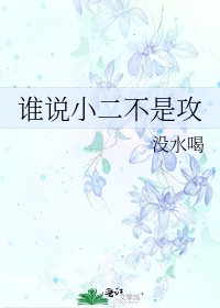 谁说小二不是攻