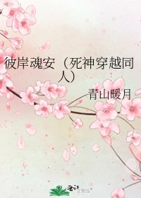 《彼岸魂安(死神穿越同人)》