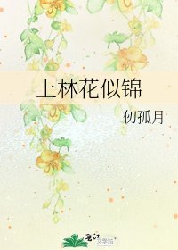 上林花似錦