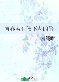 《青春若有张不老的脸》