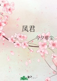 凤君