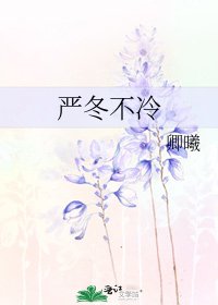 嚴冬不冷