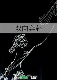 雙向奔赴