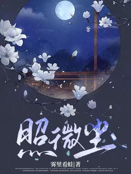《照微尘》