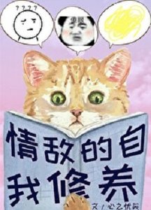情敵的自我修養