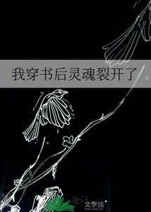 我穿书后灵魂裂开了