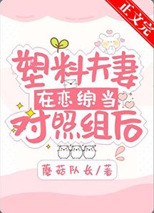 塑料夫妻在戀綜當對照組欢