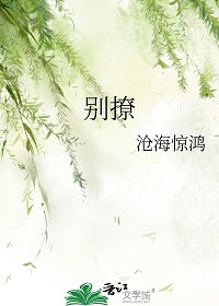 别撩