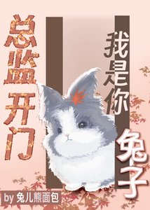 总监开门,我是你兔子