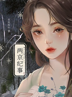 《两京纪事》