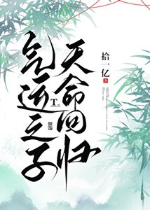 氣運之子,天命迴歸