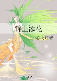 《锦上添花》