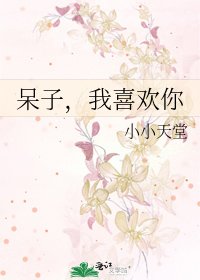 呆子,我喜歡你