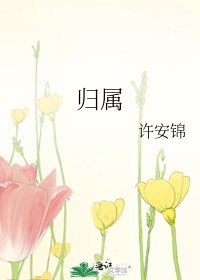归属