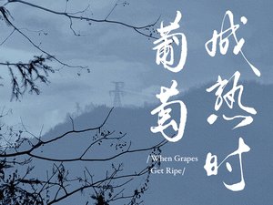 葡萄成熟時
