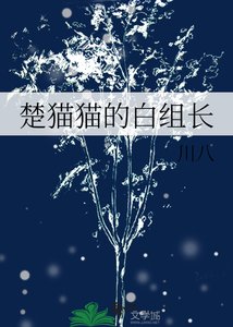 楚貓貓的沙組常