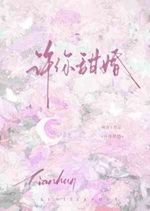 許你甜婚
