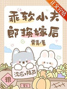 《乖軟小夫郎換嫁後》