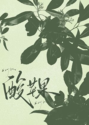 酸蘋果