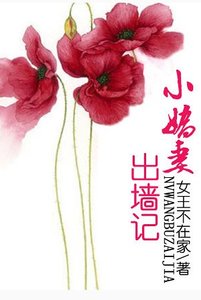 我一直在這裏等你/小哈妻出牆記