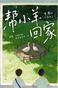 幫小羊回家