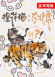 我，狸花貓，撫慰東北虎？