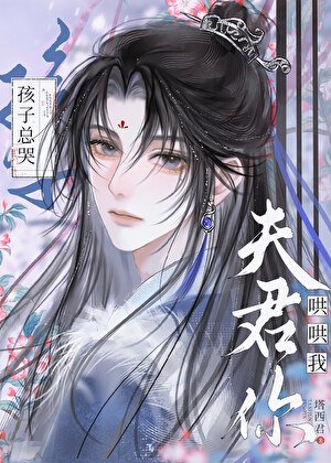 《孩子总哭,夫君你哄哄我》